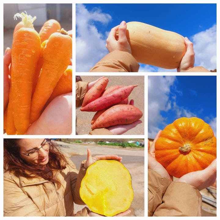 מרקים כתומים לחורף גשום