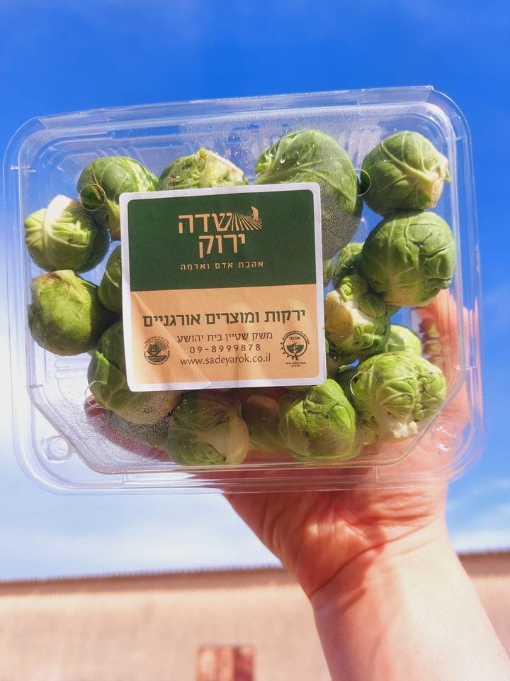 טעמו את בריאות הכרוב ניצנים!