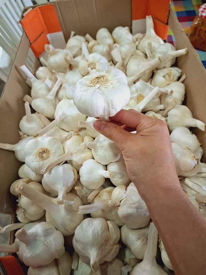 by Farmerimtest