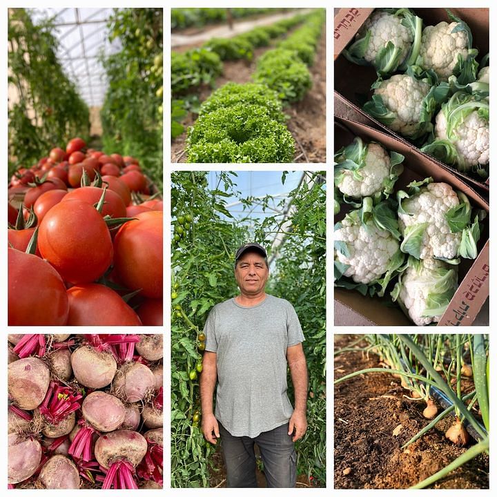 by Farmerimtest