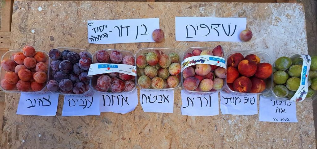 by Farmerimtest