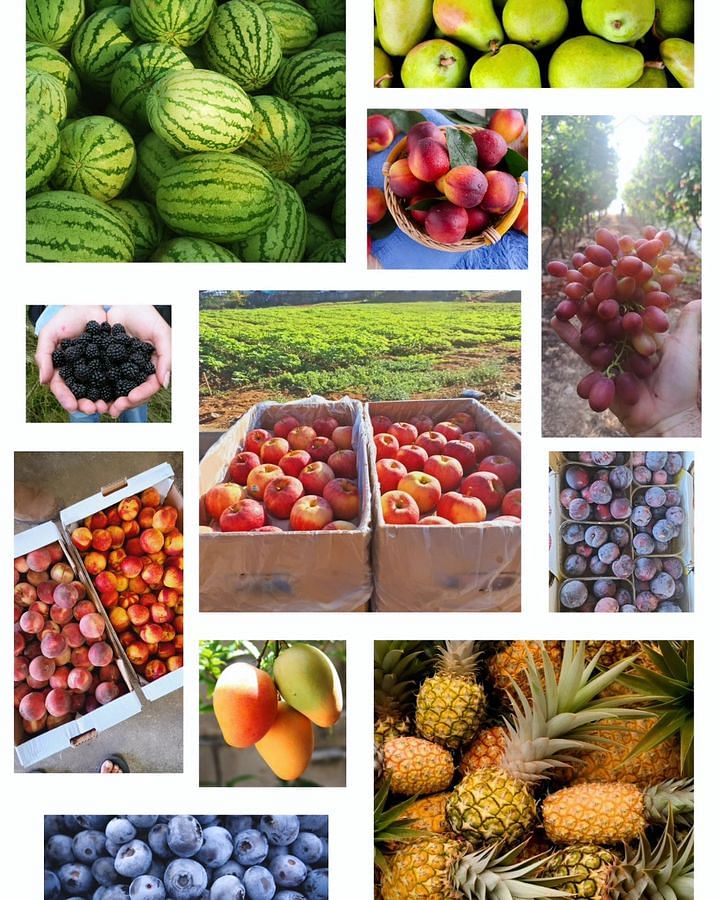 by Farmerimtest