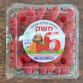 תות מתוק במיוחד מארז כ-500 ג'. של אודי ממשק 6 ממש פה בגאולים