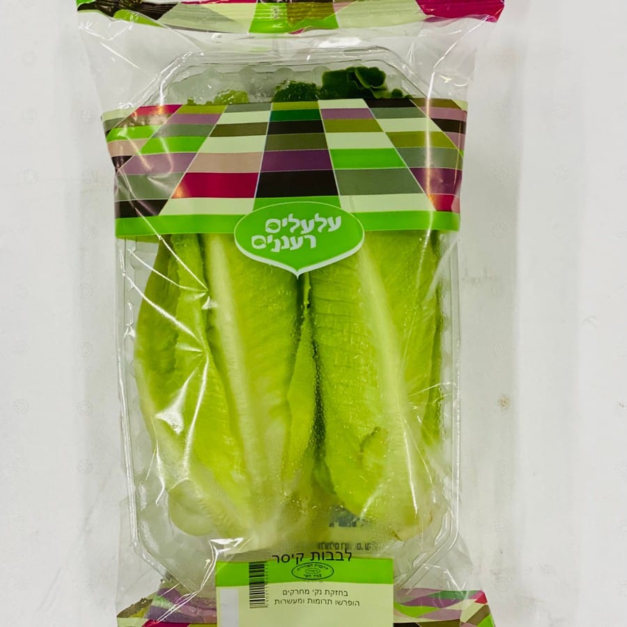 לבבות קיסר הידרופוני