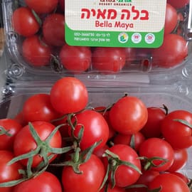 עגבניה מתוקה כמו סוכריה. כ-400 ג'