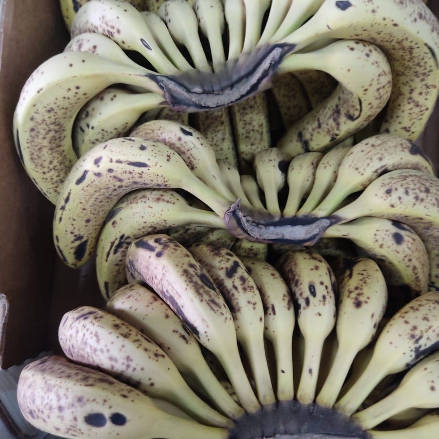 בננות בשלות לשייק / הקפאה