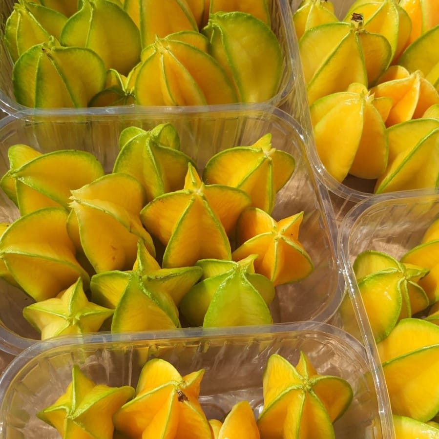 פרי הכוכב - קרמבולה