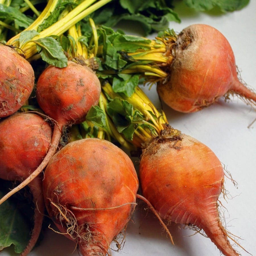 סלק כתום אורגני