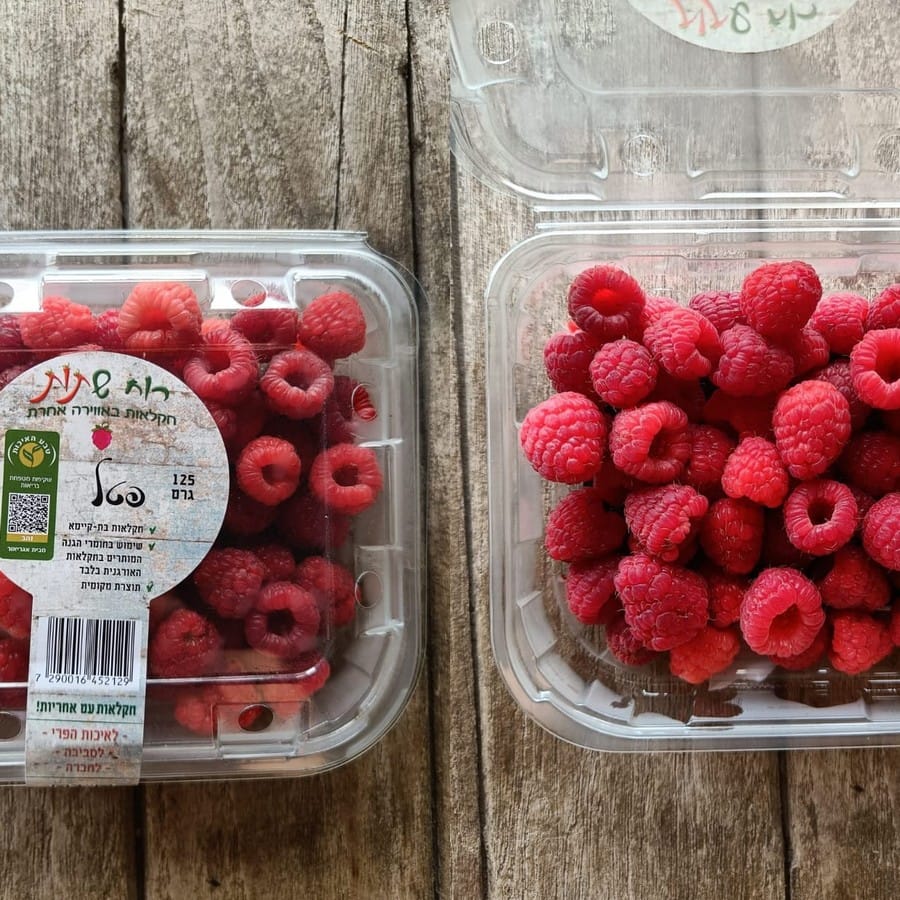 פטל אדום 125 ג'