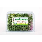 מארז כ- 200 גרם
