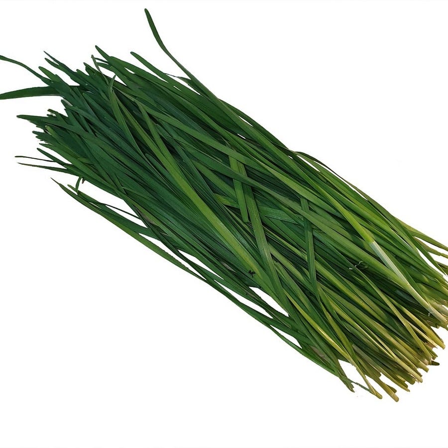 עירית שומית אורגנית