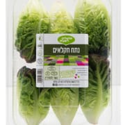 לבבות חסה מובחרות - מעולות לסלט ולצלייה