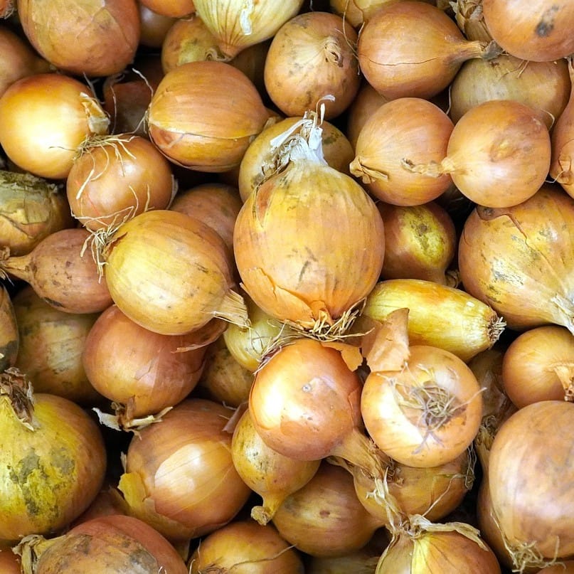 מיקס בצלצלים אורגנים