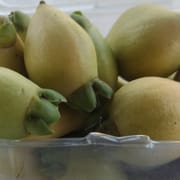 טעם של תפוח עם מי ורדים. כ-200 ג'. ללא ריסוס על הפרי