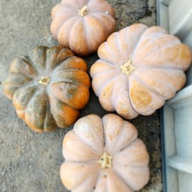 טעימה ומאוד מתוקה. משקל בגדר הערכה - אין זיכויים