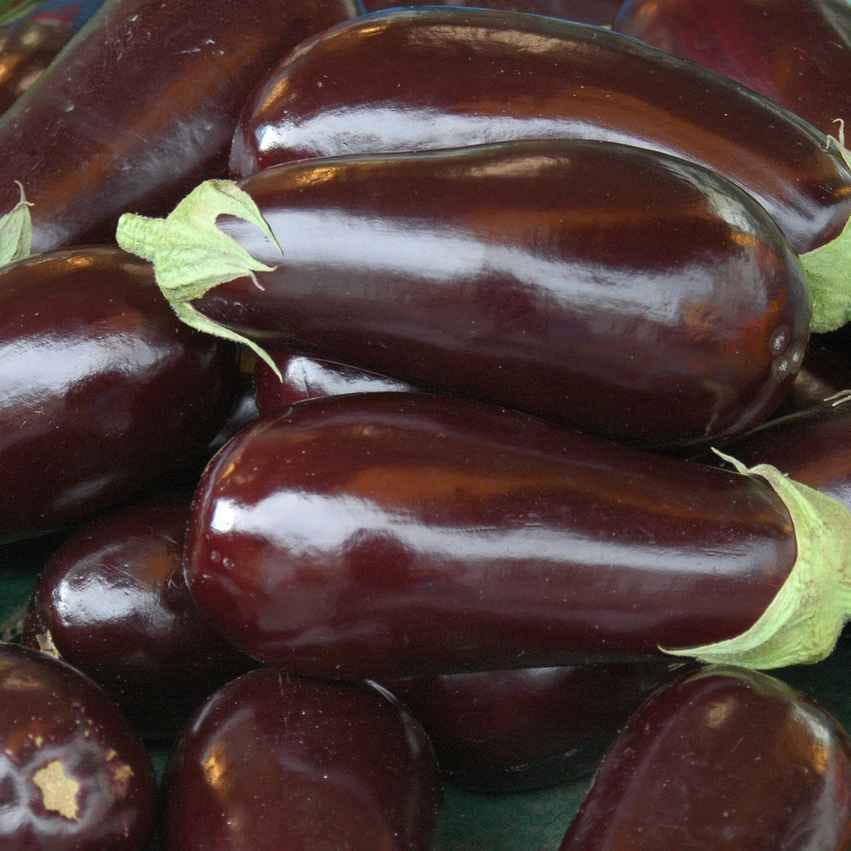 חציל רך לבישול