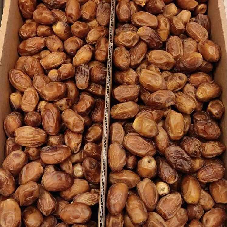 תמר זהידי אורגני