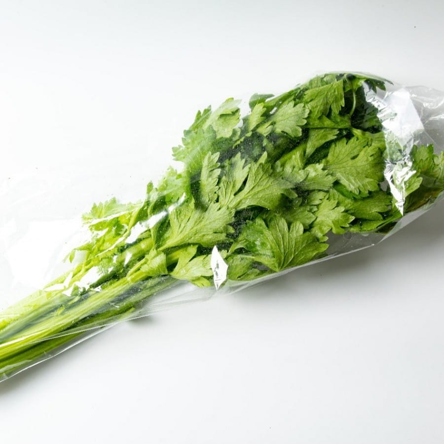 סלרי עלים הידרופוני