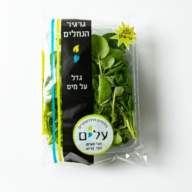 גרגר נחלים הידרופוני
