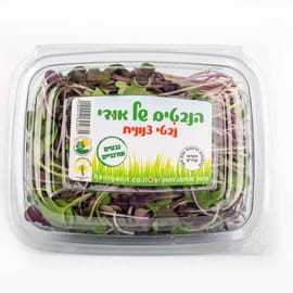 מארז כ- 90 גרם