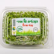 מארז כ- 90 גרם