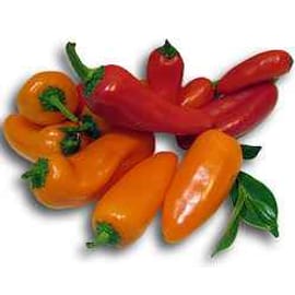 קטיף טרי. מארז גדול 800 גרם.