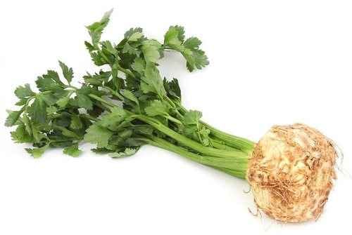 שורש סלרי טרי אורגני