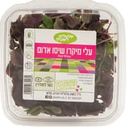 מתאים בקישוט ובסיס לסושי וסאשימי מכיל סידן, ברזל, אשלגן וסיבים תזונתיים, ויטמינים אי וסי