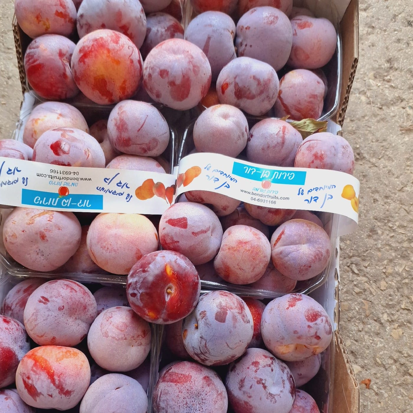 שזיף לב אדום