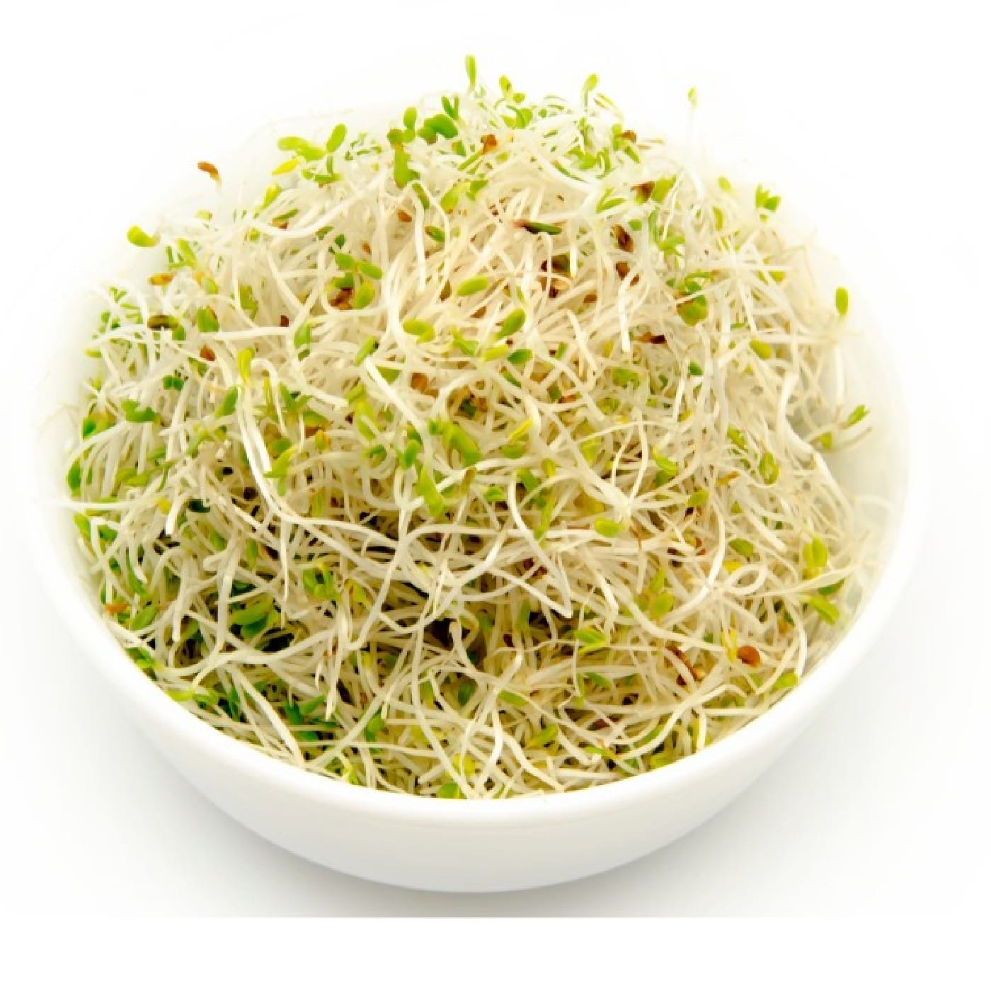 נבטי אלפלפא מהדרין