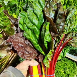 סלק עלים צבעוני