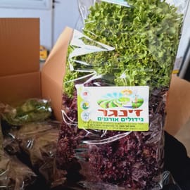 חסה פריכה וטעימה