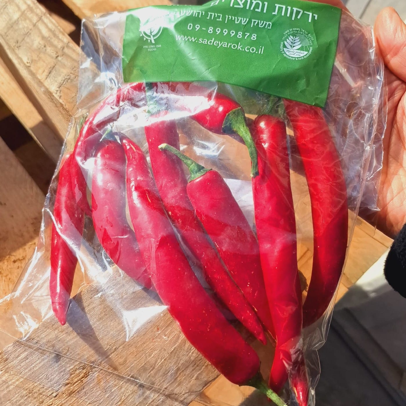 מארז פלפל צ'ילי אדום אורגני