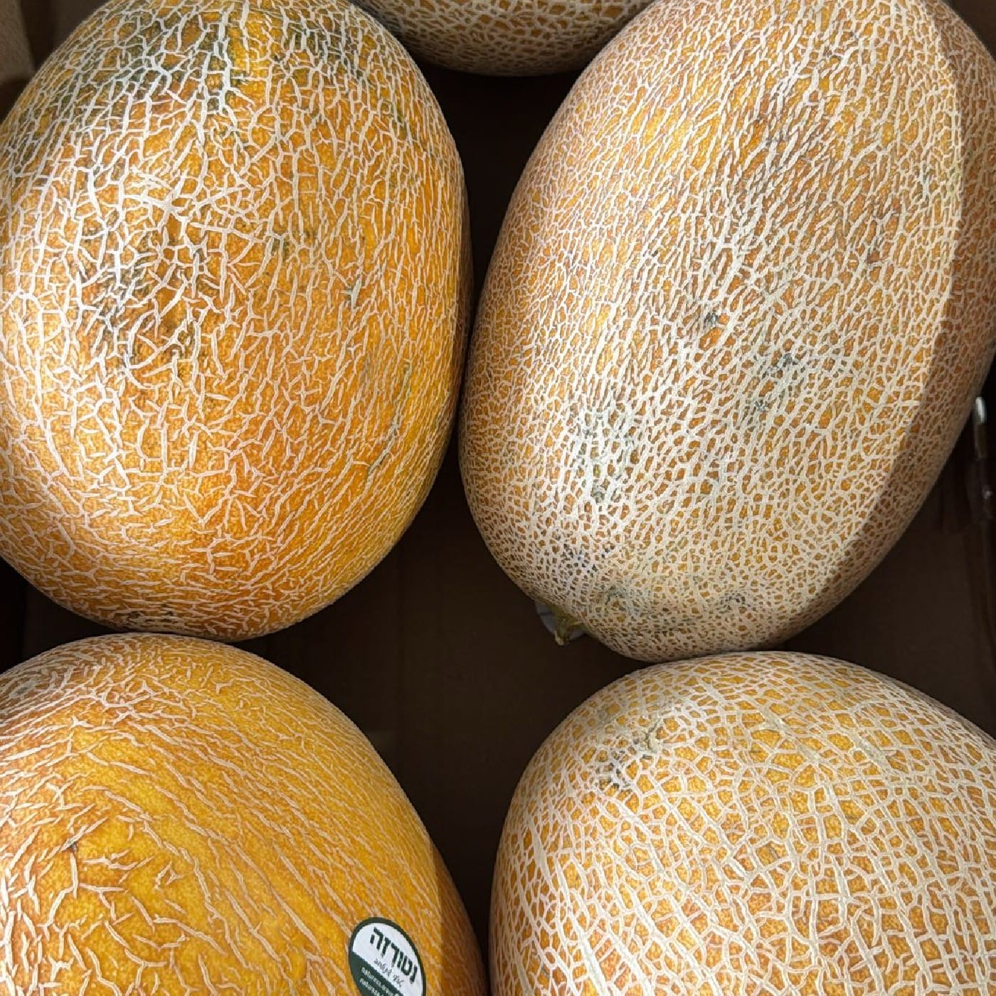 מלון כתום הדסון