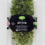 טימין המזכיר בטעמיו קרטיב לימון מהילדות. מוסיף רעננות לימונית למנות מלוחות ונותן קונטרה נהדר