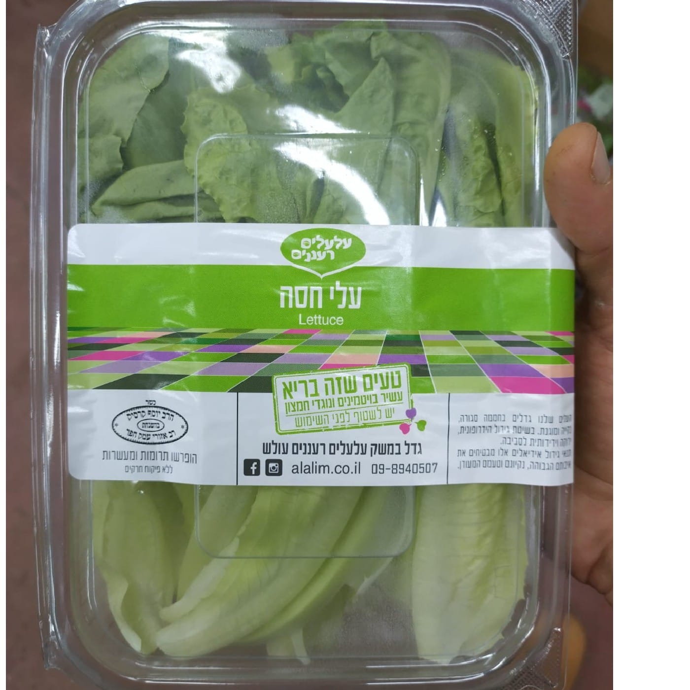 עלי קיסר נספק