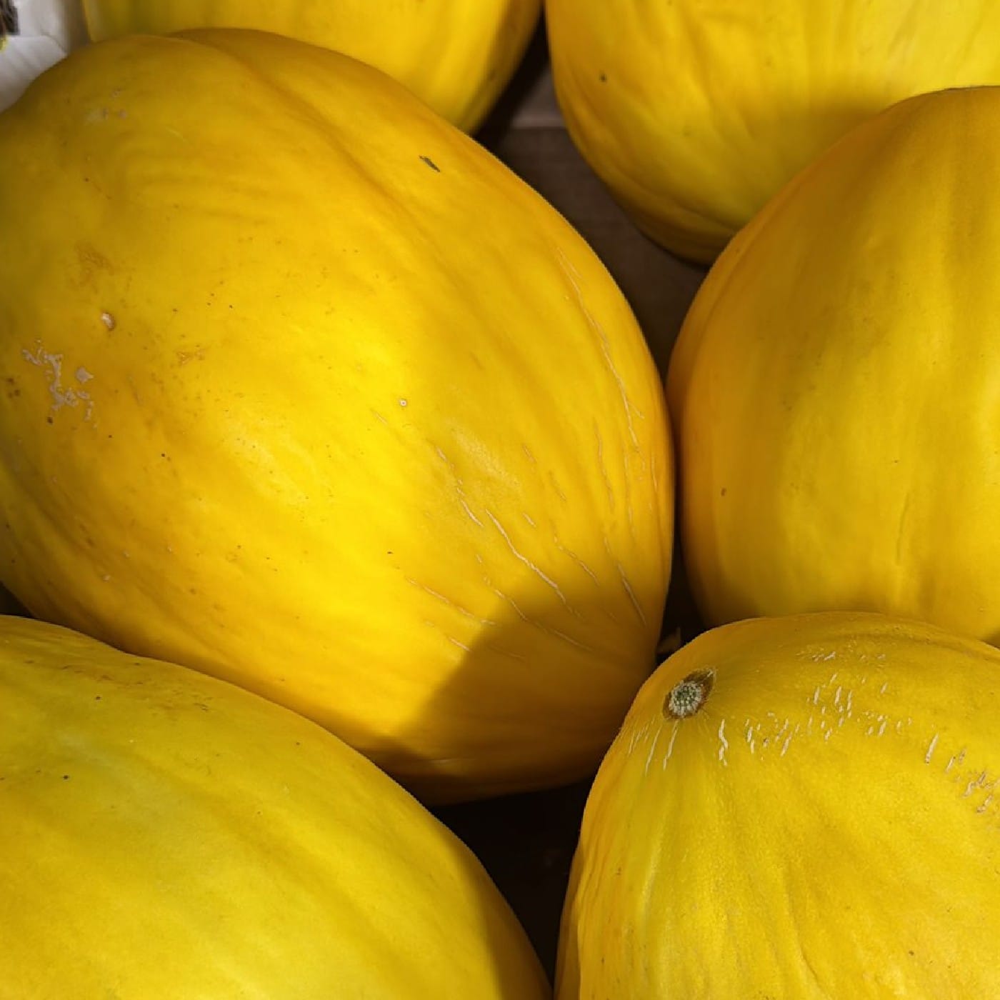 מלון ספרדי ילוקנרי (גולדן סוויט)