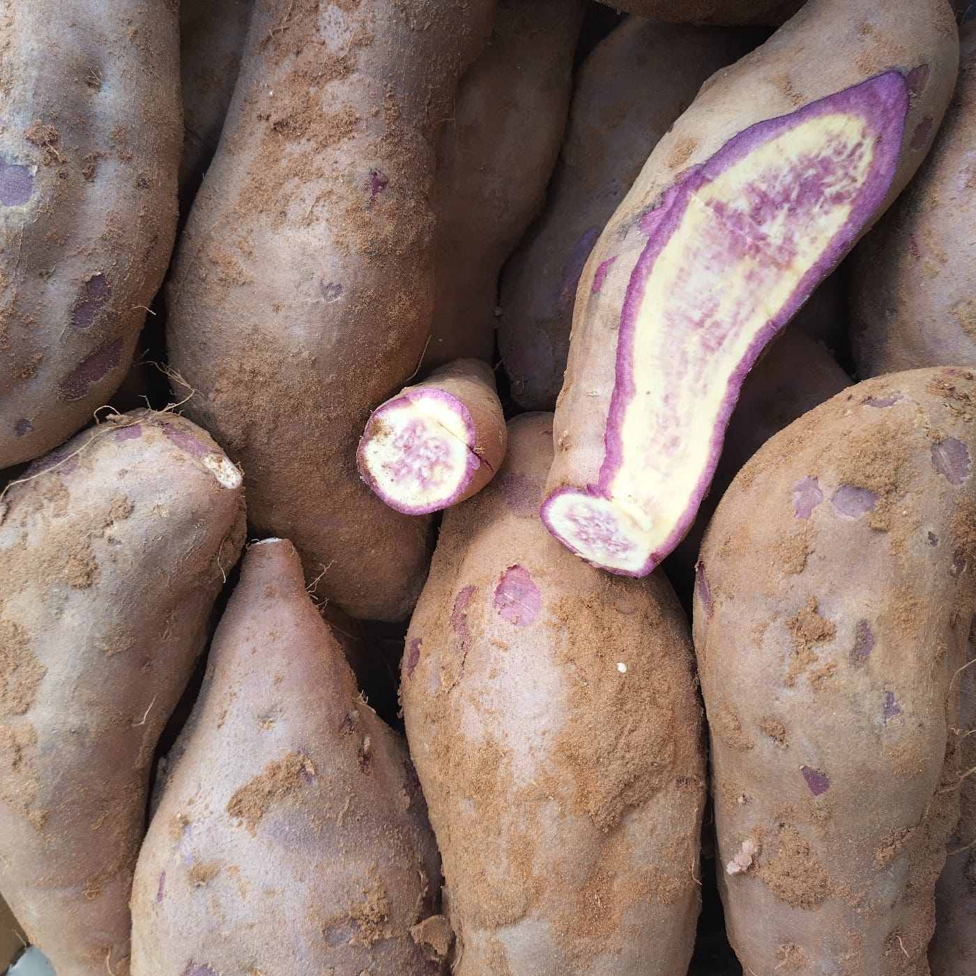 בטטה ערמונים