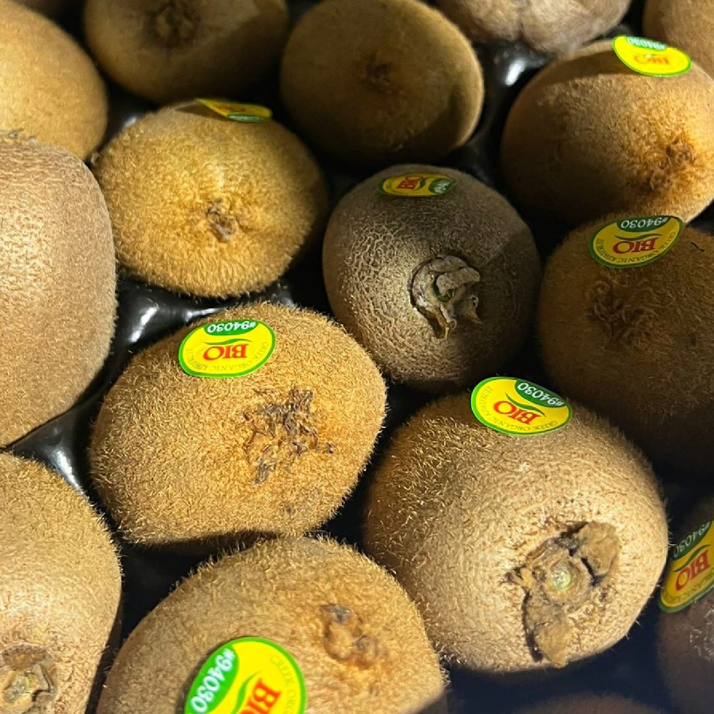 קיווי ירוק אורגני