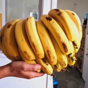 בננה זן ותיק. בננות לעיתים מגיעות ירוקות ומבשילות כ-3/4 ימים