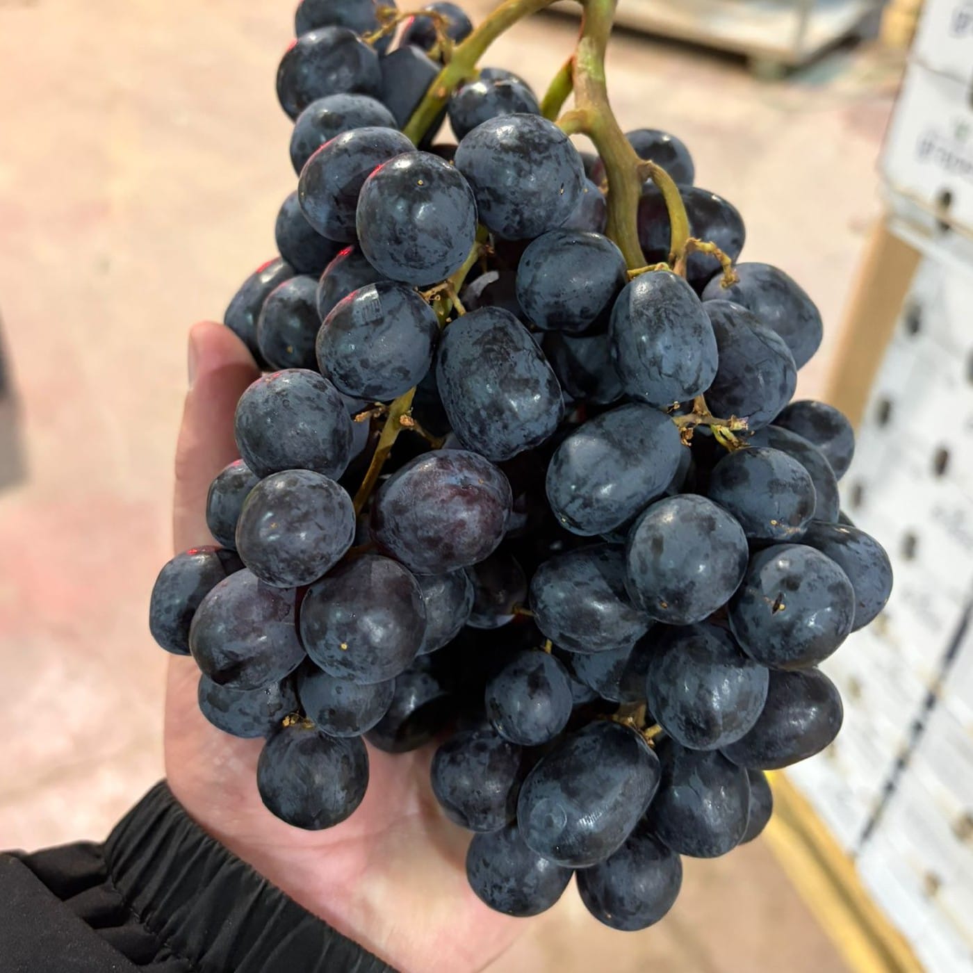 מארז ענבים שחורים 