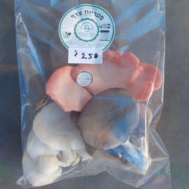 כ-250 ג', מיקס 3 זני פטריות אויסטר