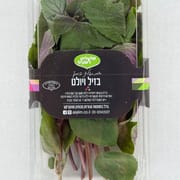 ריחן בעל גוונים ורודים־אדמדמים מתחלפים ועלים רחבים ובשרניים. מושלם לסלטים, מנות קרות והגשה ע
