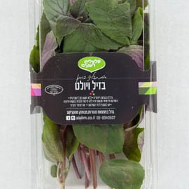 ריחן בעל גוונים ורודים־אדמדמים מתחלפים ועלים רחבים ובשרניים. מושלם לסלטים, מנות קרות והגשה ע