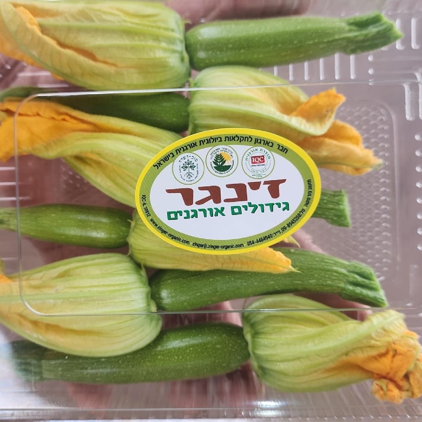 פרחי קישוא אורגניים