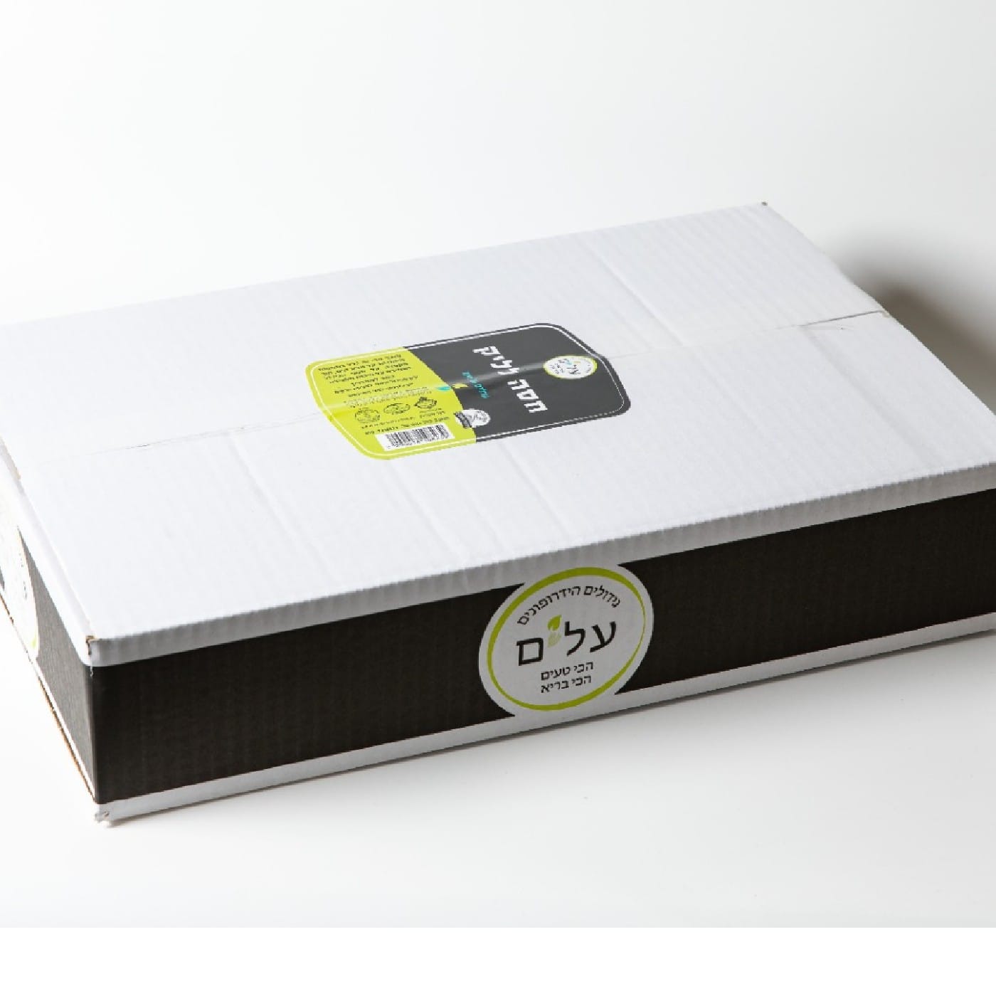 חסה לאליק הידרופוני - שישייה