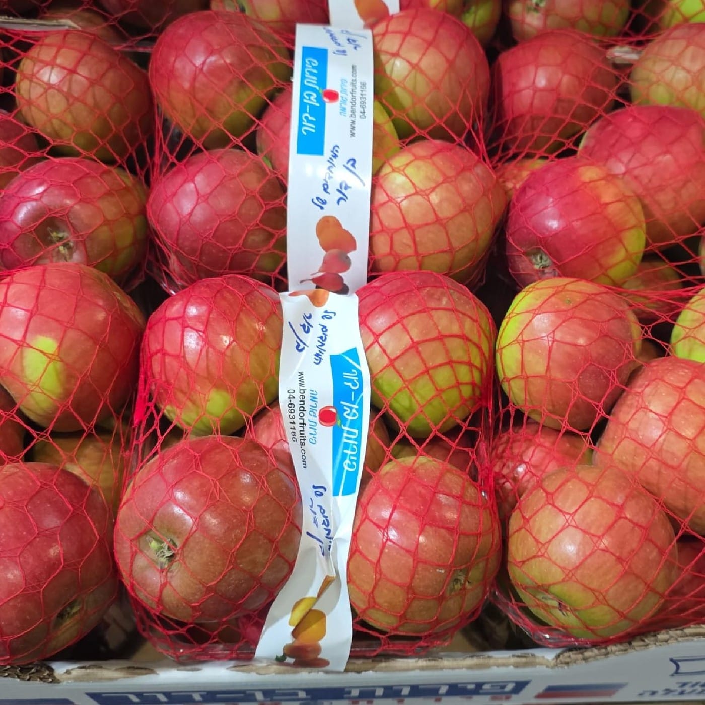 תפוח עץ בנטל
