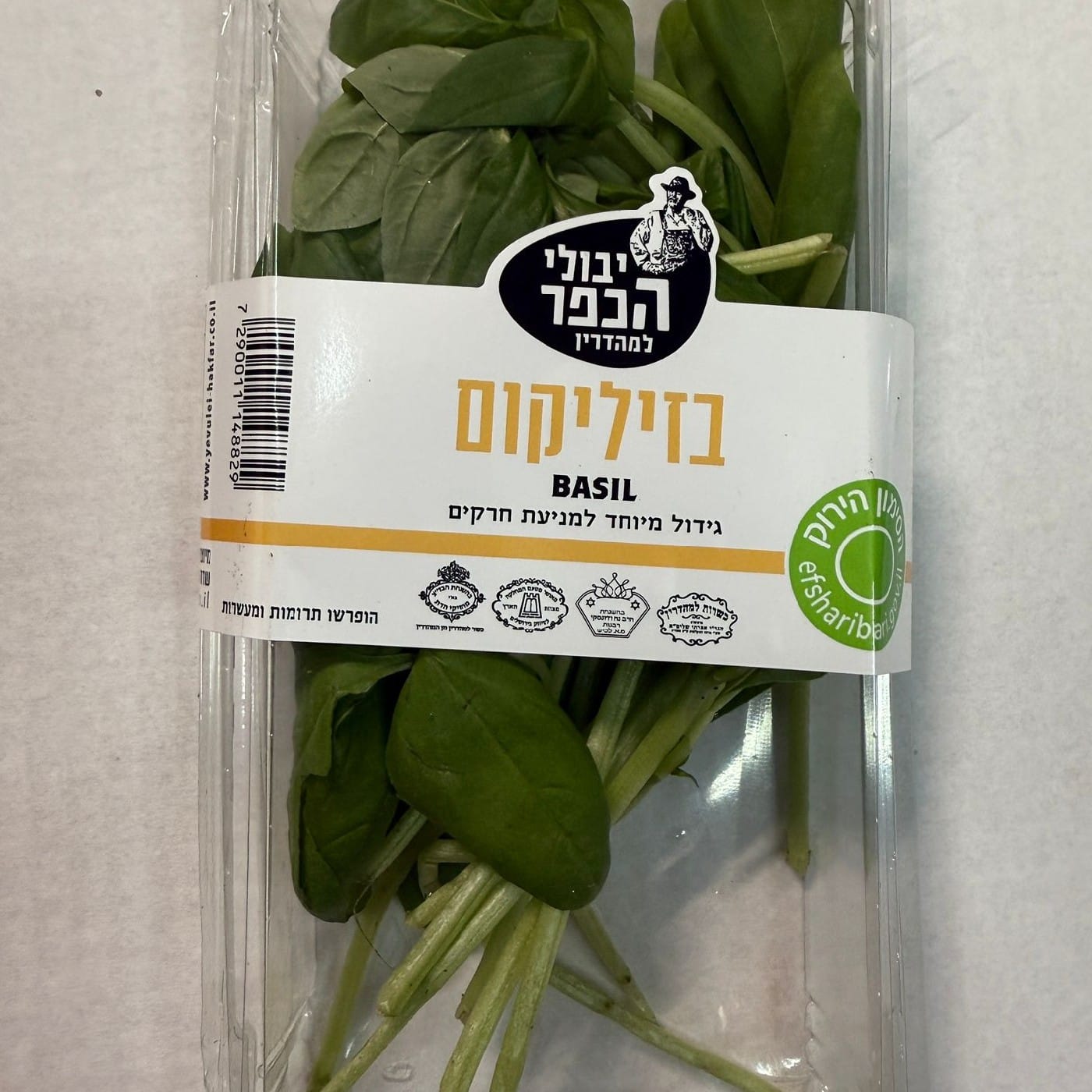 בזיליקום מהדרין