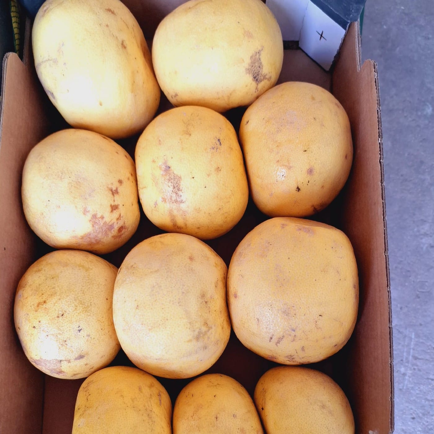 פומלית לבנה אורגנית