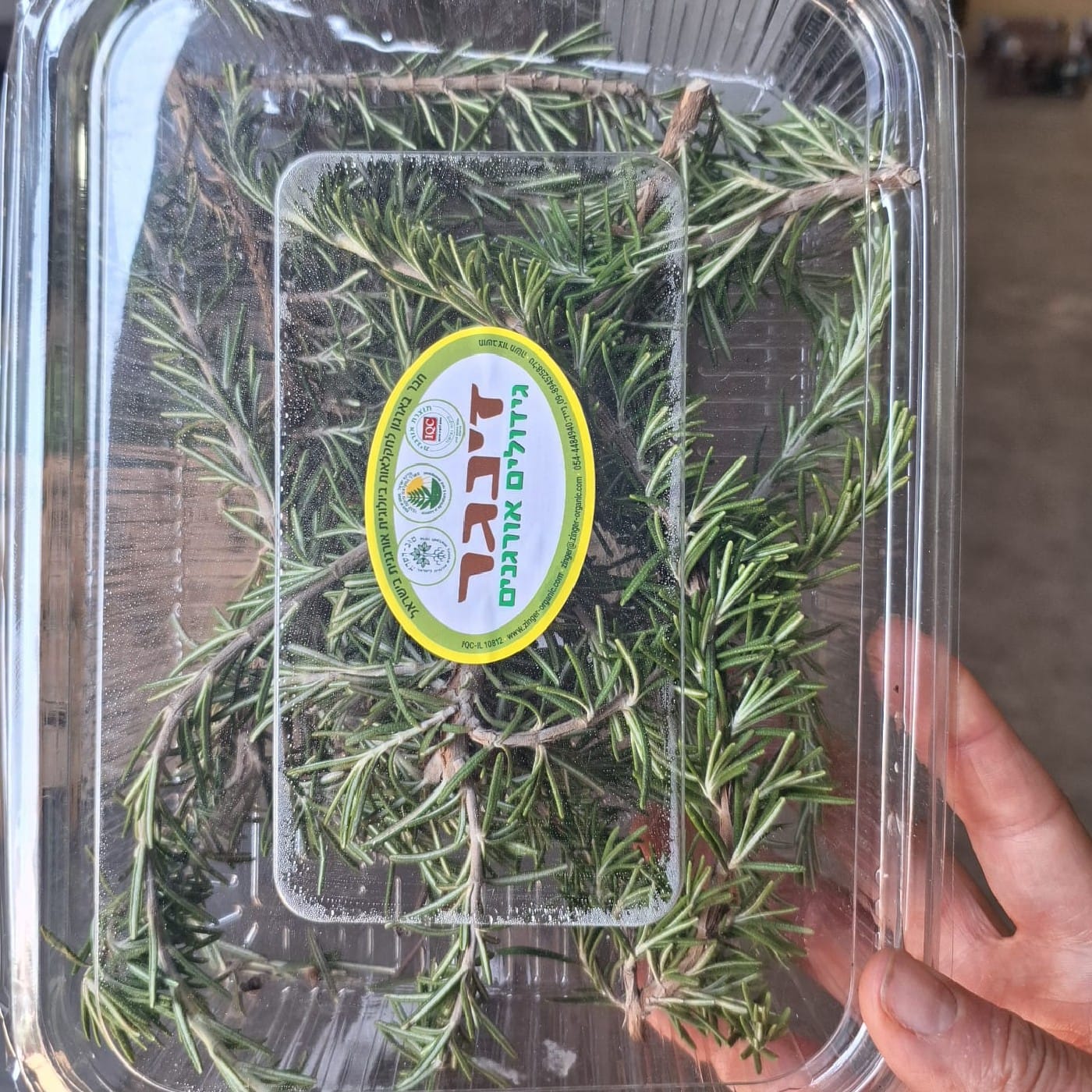 רוזמרין אורגני